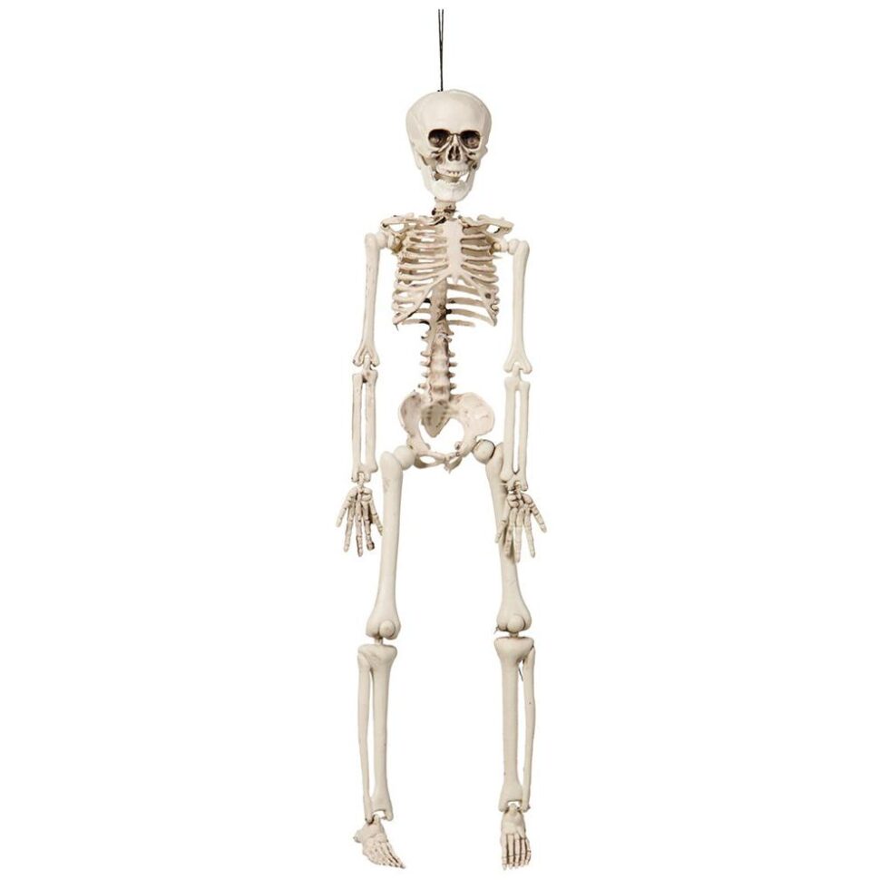 Hengende skjelett - 42 cm