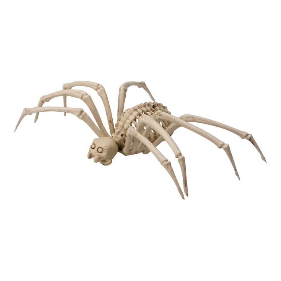 Edderkopp skjelett - 28cm