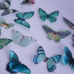 Spiselige sommerfugler, emerald haze - 18 stk
