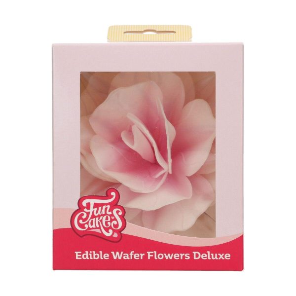 Spiselig rose XL, fedigmontert - Ombre rosa - Bilde 2