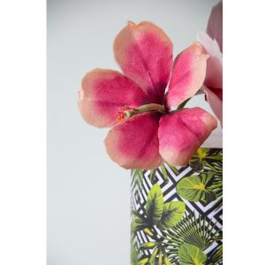 Naturtro spiselig Hibiscus, gjør det selv - korall