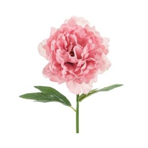 Naturtro peon, 35cm - rosa