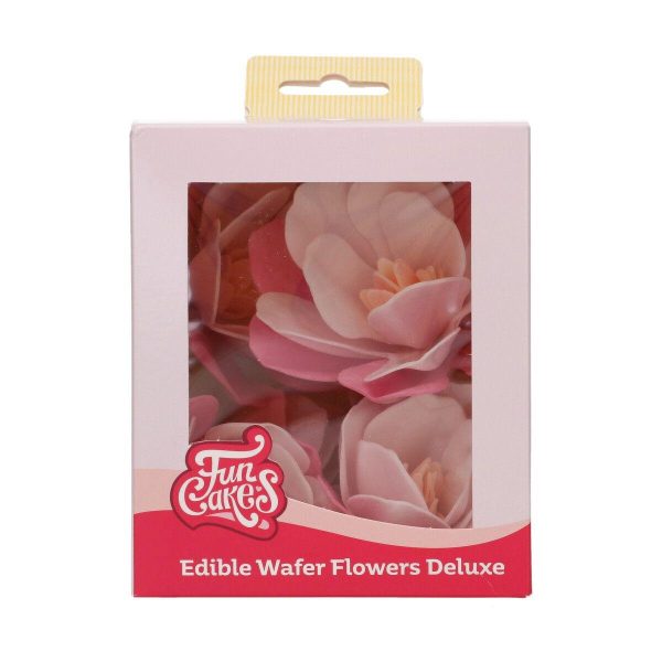Spiselig magnolia, fedigmontert stor, rosa - 6 stk - Bilde 2