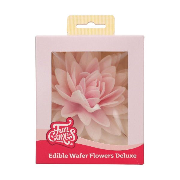 Spiselig peon XL, fedigmontert - Ombre rosa - Bilde 2