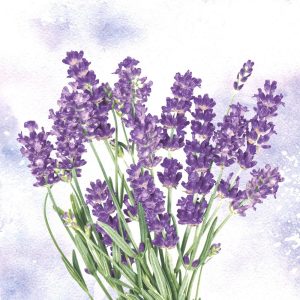 Servietter lunsj, bukett lavendel - 20 stk