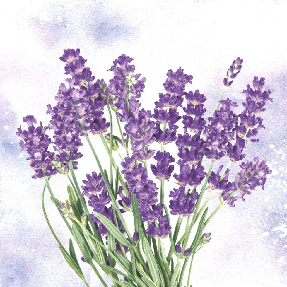 Servietter lunsj, bukett lavendel - 20 stk
