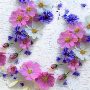 Servietter lunsj, blomstersirkel - 20 stk