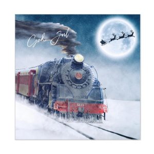 Servietter, Juletog – 20 stk