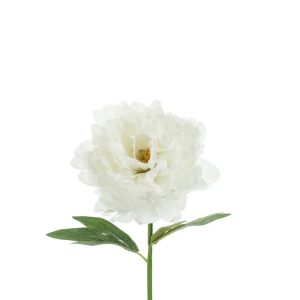 Naturtro peon, 35cm - hvit