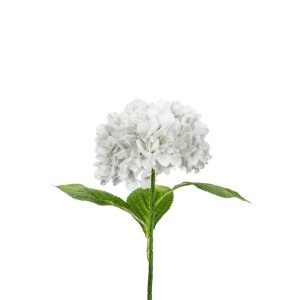 Naturtro hortensia, 69cm - hvit