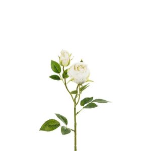 Naturtro rose, 55cm - Hvit