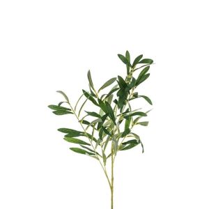 Naturtro olivengren - 91 cm