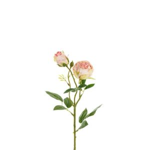Naturtro rose, 55cm - Lys rosa