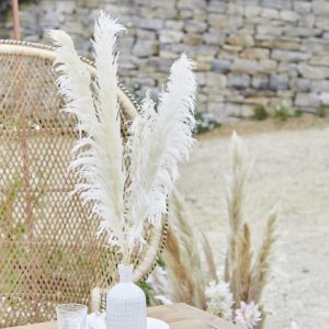 Tørket pampas 15x110 cm - 1 stk