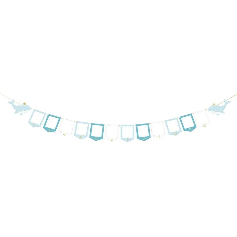 Banner, bilderammer månedsfoto, blå - 2,5 m