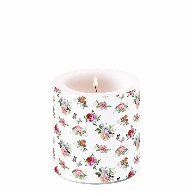 Kubbelys, 8cm - småblomstret