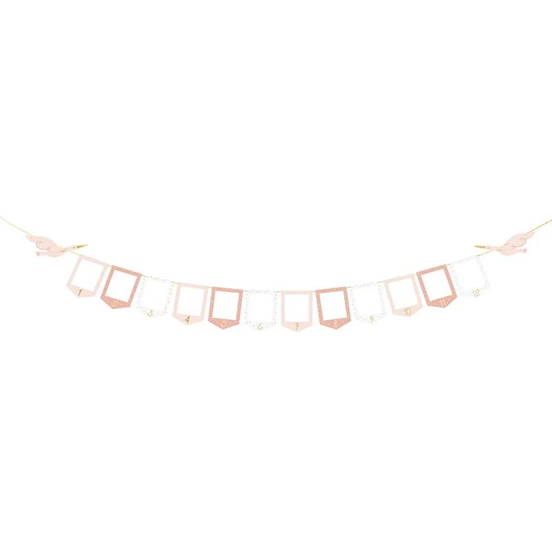 Banner, bilderammer månedsfoto, rosa - 2,5 m