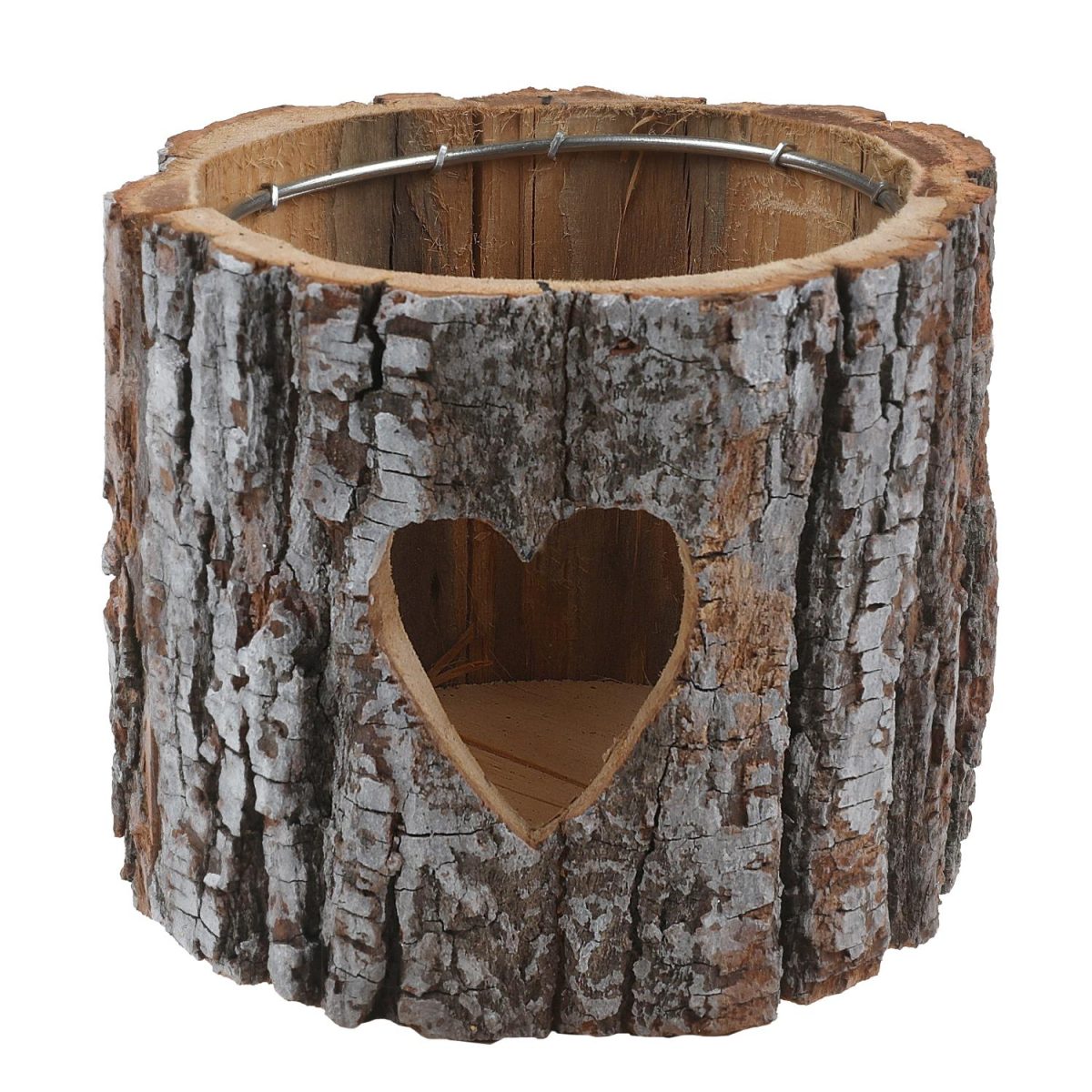 Lyslykt, bark