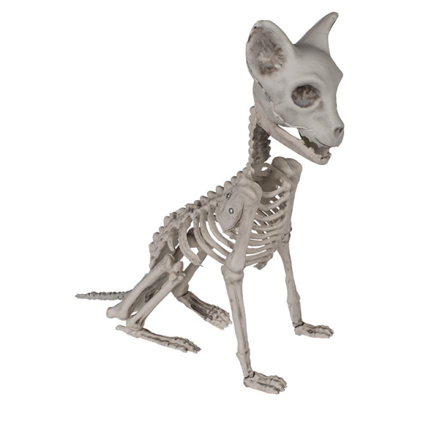 Katte skjelett, sittende - 32cm
