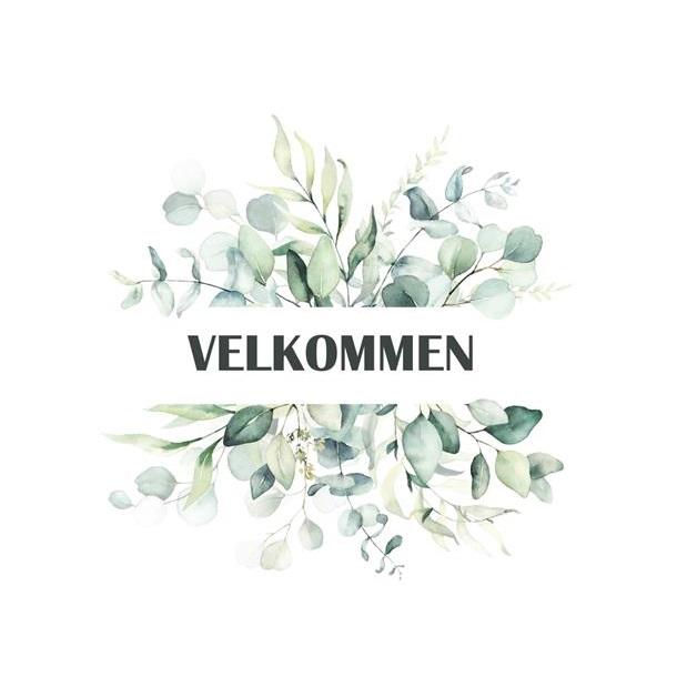 Servietter, velkommen - 20 stk