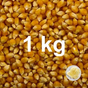 Popcornmais, ekstra store runde - 1 kg