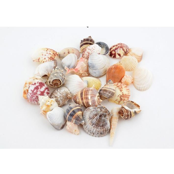 Skjellmix store - 250gr