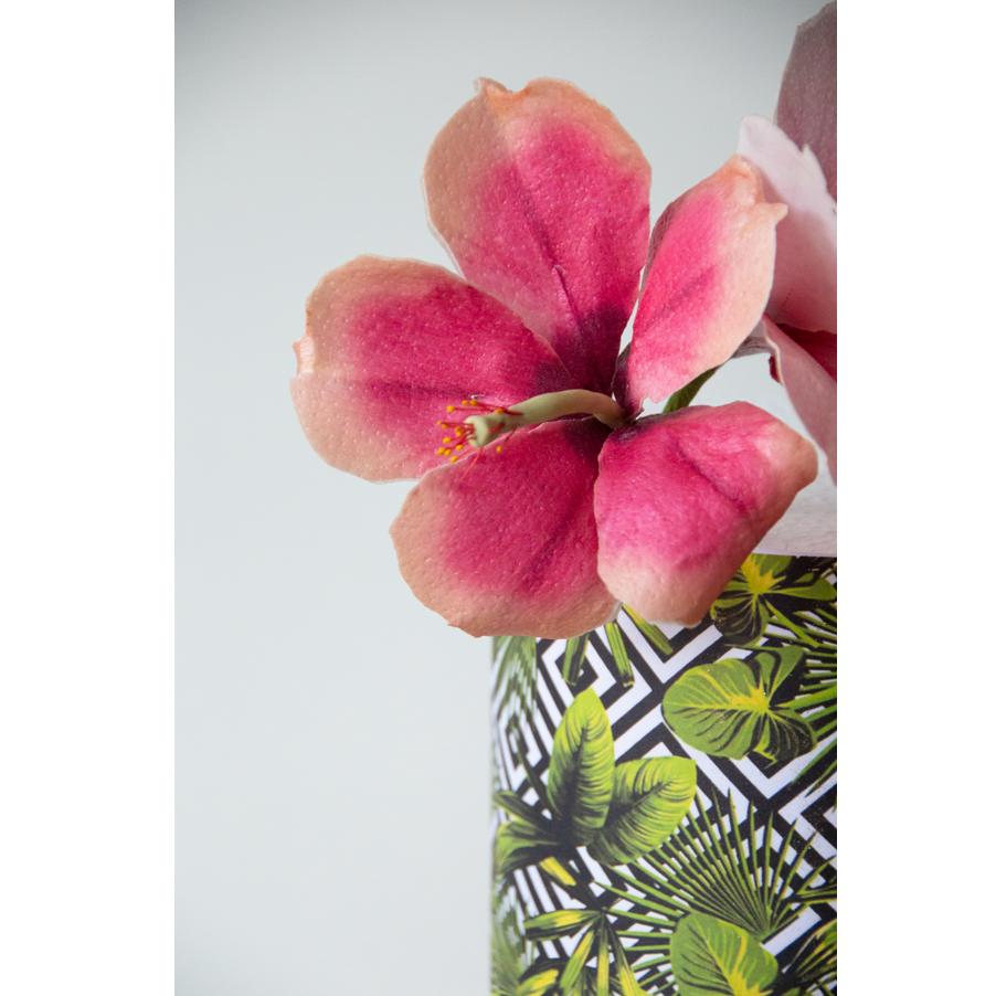 Naturtro spiselig Hibiscus, gjør det selv - korall