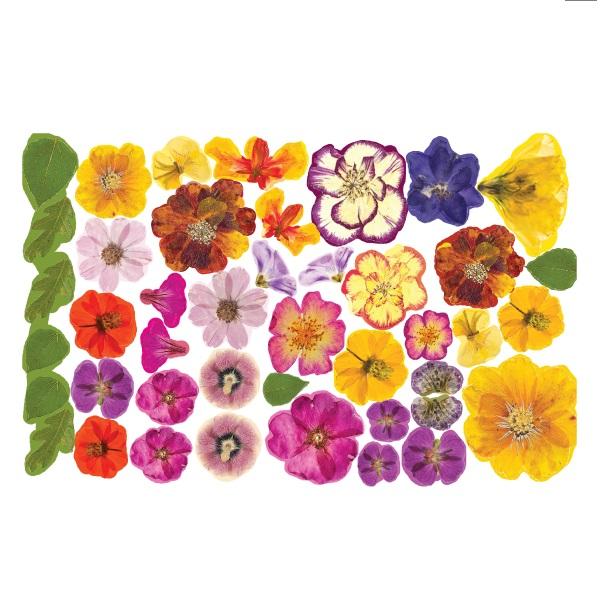 Spiselige pressede blomster, rispapir - 43 stk