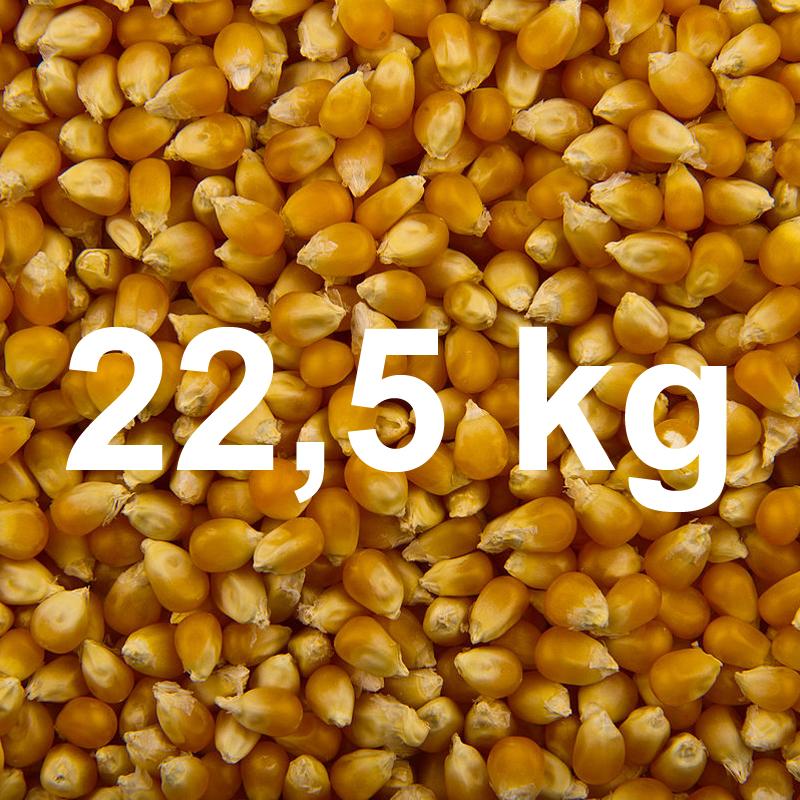Popcornmais Mushroom, ekstra stor - 22,7 kg