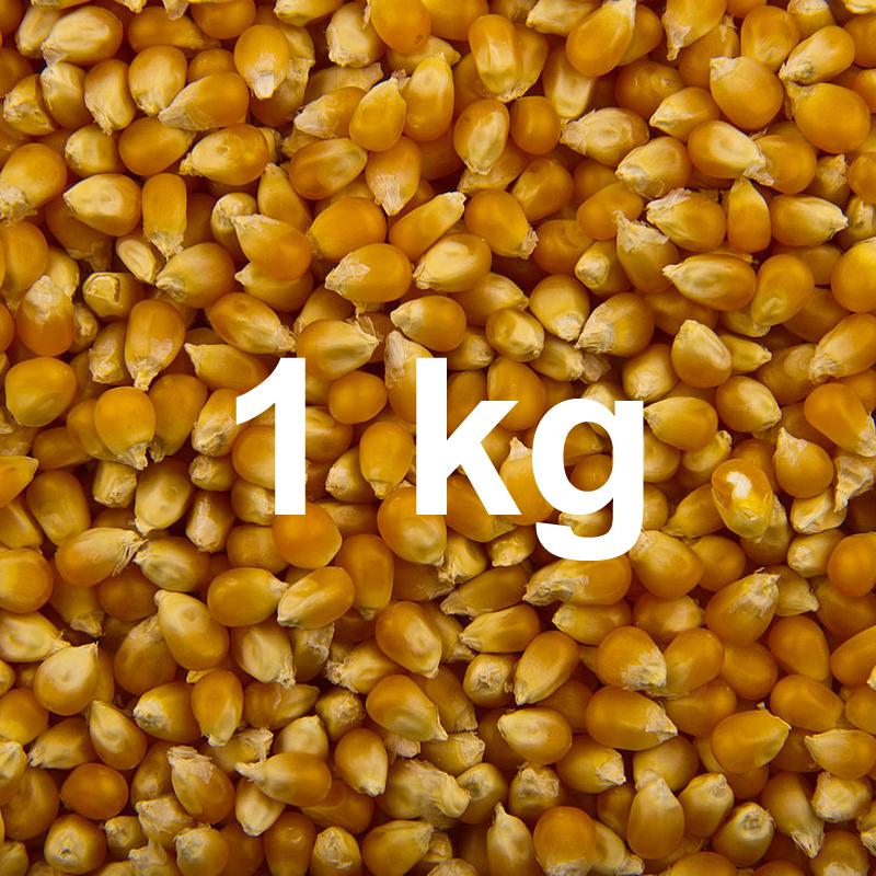 Popcornmais - 1 kg