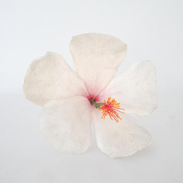 Naturtro spiselig Hibiscus, gjør det selv - Hvit