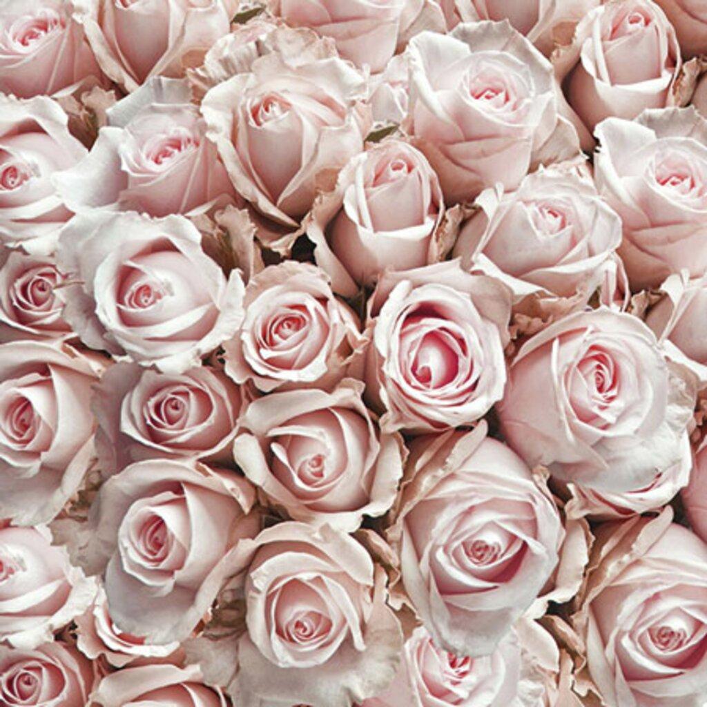 Servietter kaffe, dus rosa roser – 20 stk