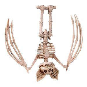 Flaggermus skjelett - 27cm