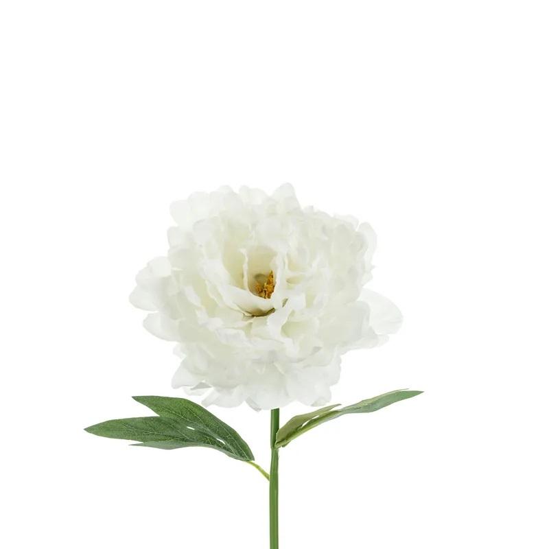 Naturtro peon, 35cm - hvit