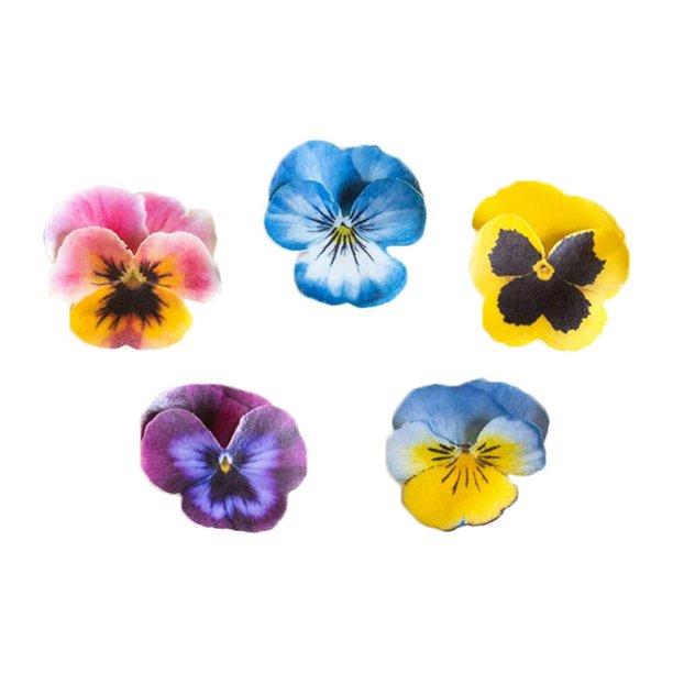 Spiselige stemorsblomster, fargemiks - 25 stk