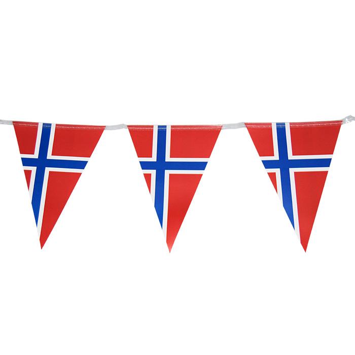 Flaggbanner Norge - 3,6 meter