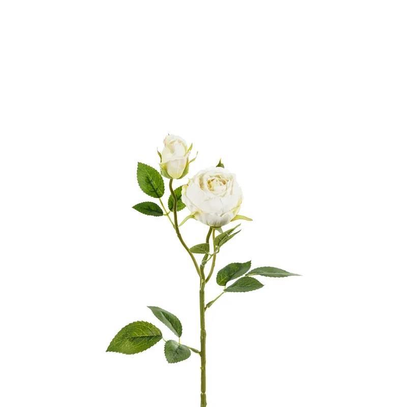 Naturtro rose, 55cm - Hvit