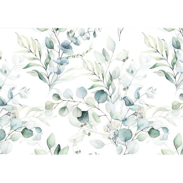 Printet rispapir A4 - Eucalyptus
